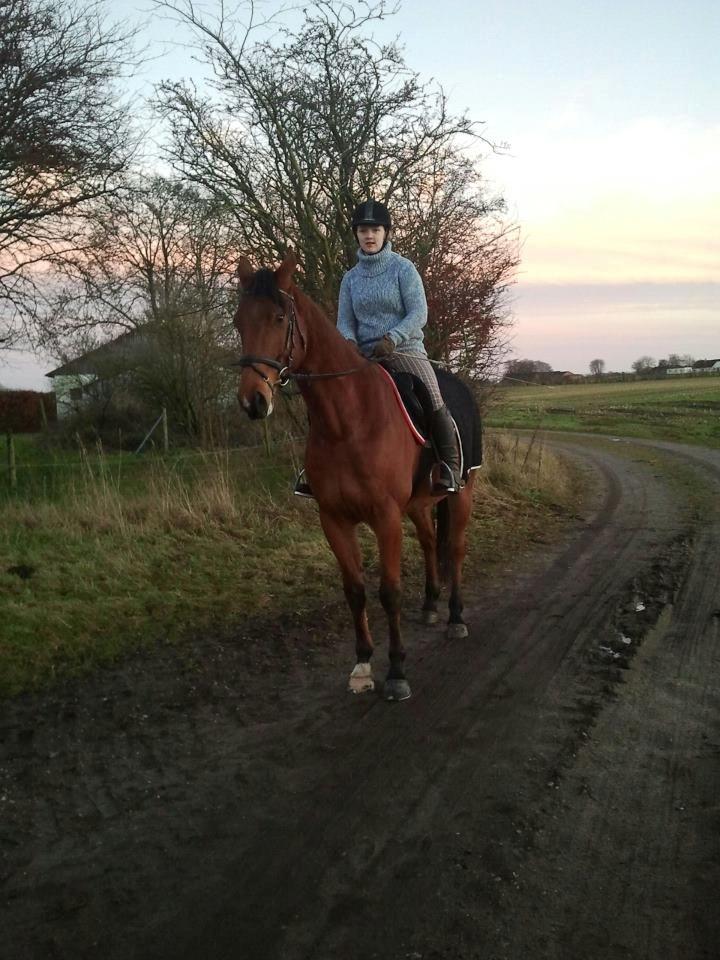 Anden særlig race Just A Boy (Justin) SOLGT billede 10