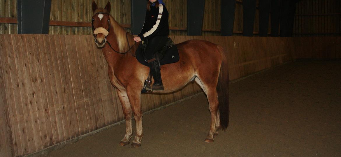 Frederiksborg | Ajaxander Jones (Ajax) billede 31