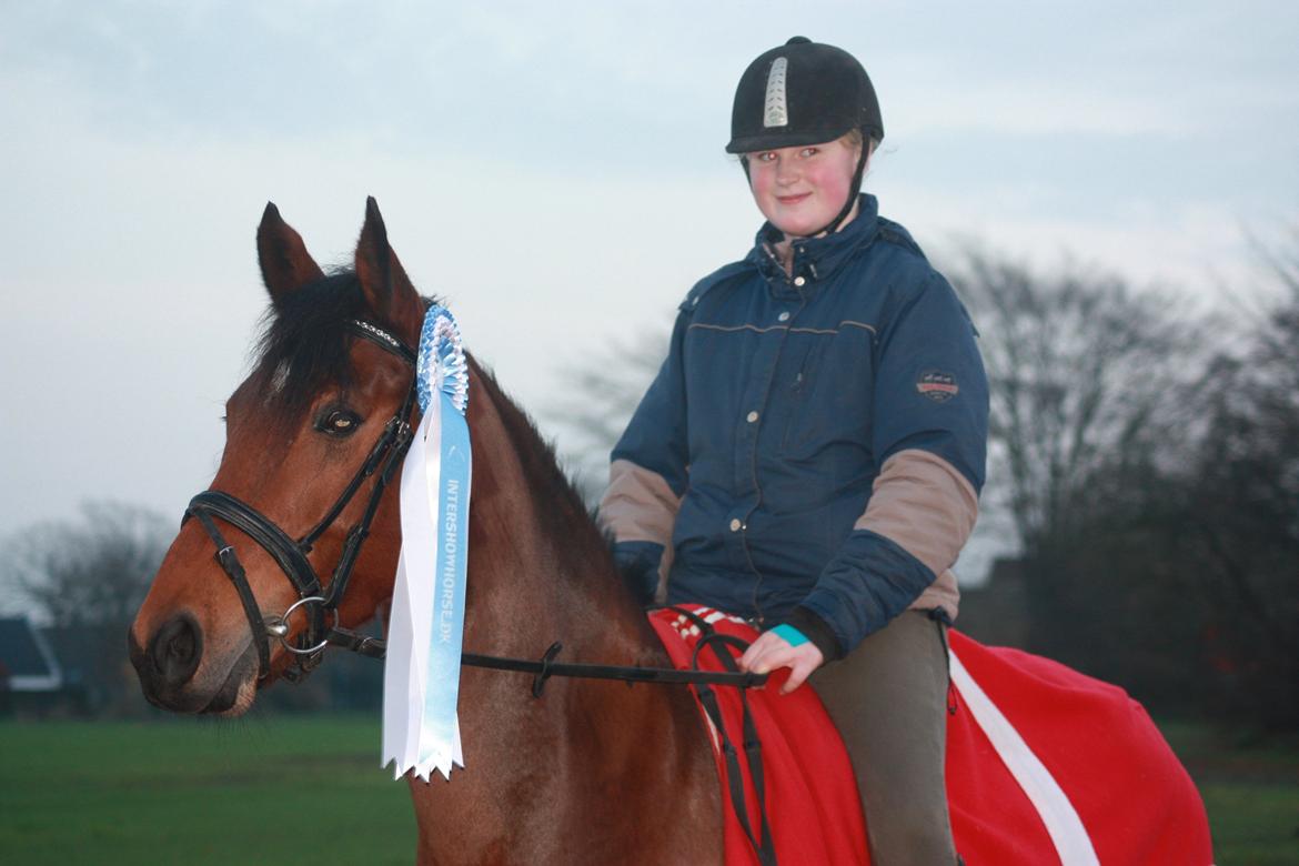 DSP Shamrocks Massa E Cozzile billede 18