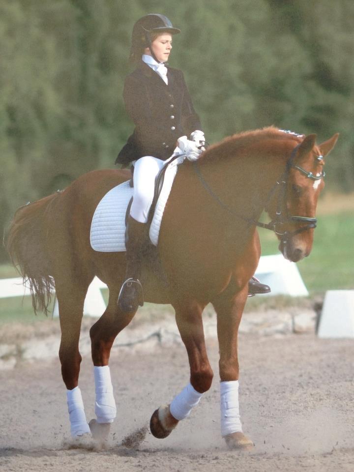 Anden særlig race Duncan - velkommen til Duncan´s profil  billede 3