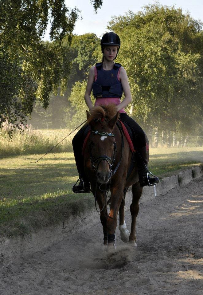 Anden særlig race Duncan billede 9