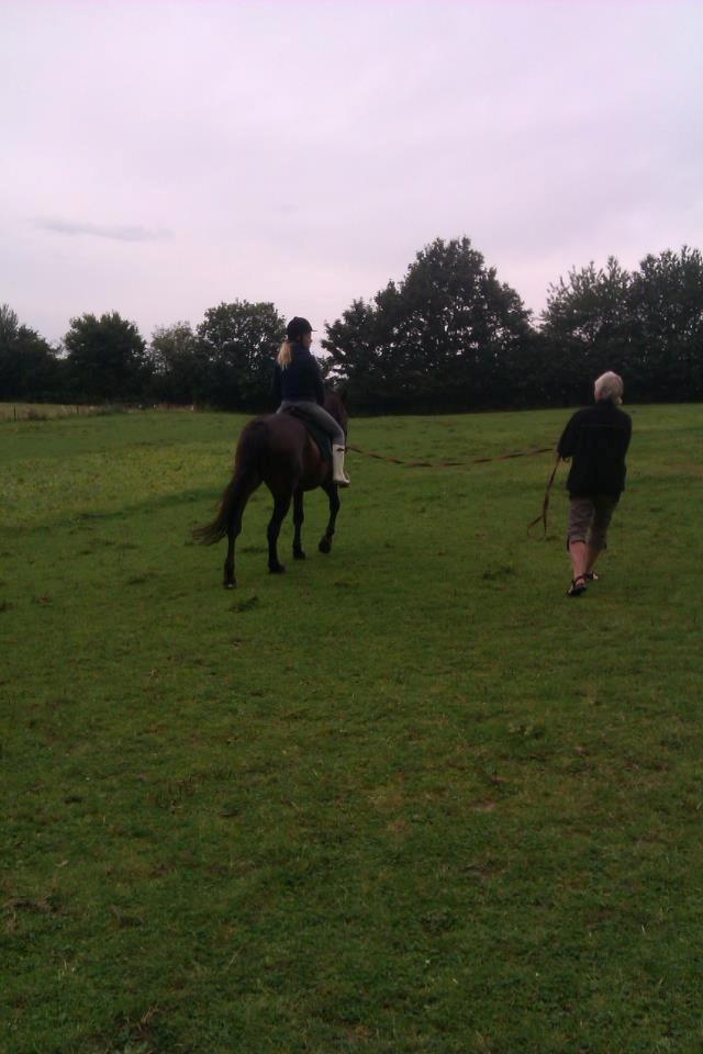 Anden særlig race Sarabi billede 6