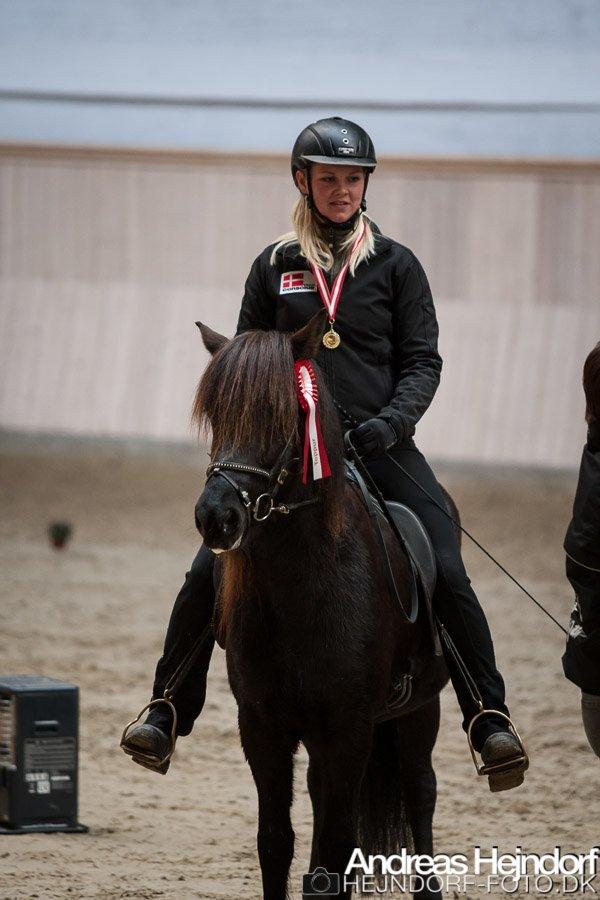 Islænder Venus Fra Hylderødgård - første plads i T.5  billede 5
