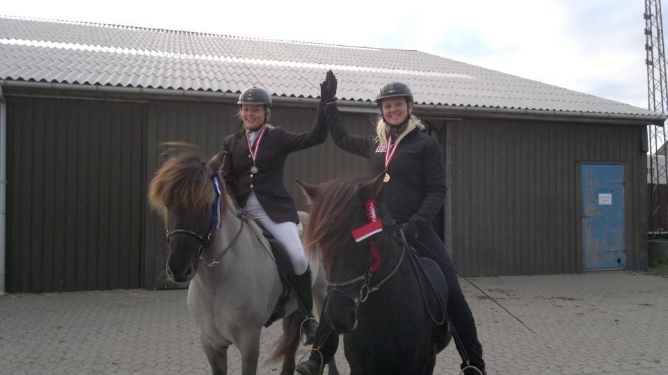 Islænder Venus Fra Hylderødgård - vi når langt, så længe vi holder sammen !  billede 6