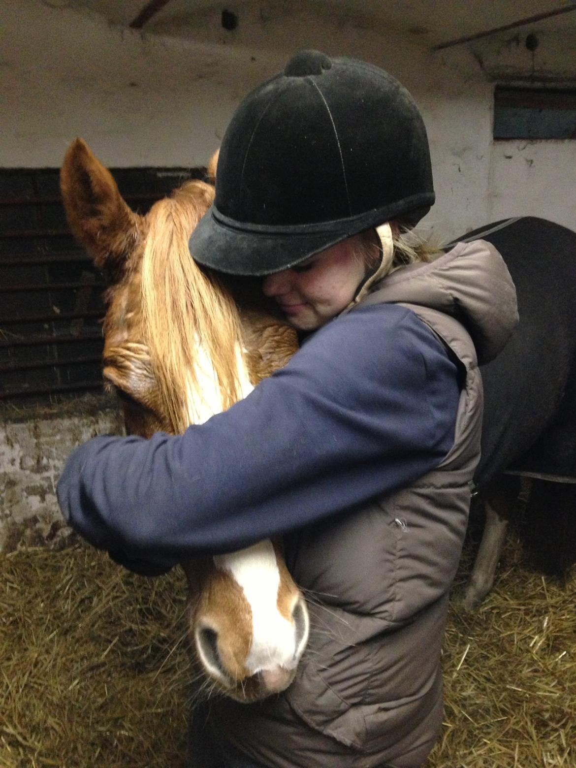 DSP HORSMARKS DIVA DUCHESS - SOLGT! - DIIIIIIIIIIIIIIIIIIIIIIIIIVS <3. billede 6