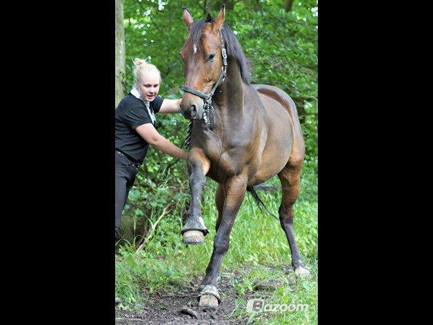 Anden særlig race Merlot R.I.P <3 - Merlot viser hvor sej han er :D af Celina ;) billedet 3 billede 3