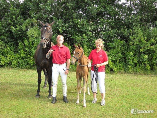 Dansk Varmblod Duet - Duet til følskue med sin baby Rosett, med  BLUE HORS Rosoff som far. billede 7