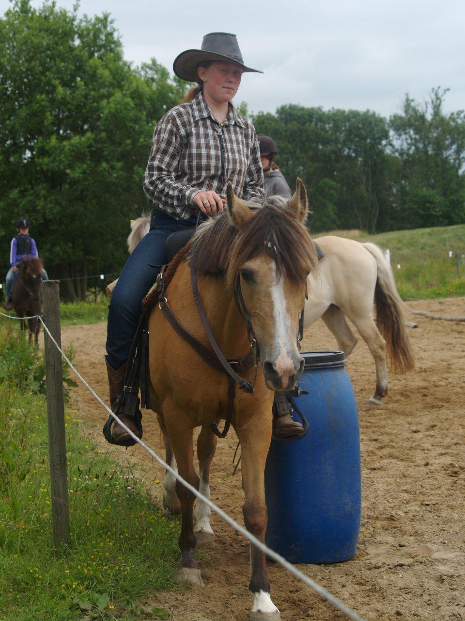 Anden særlig race My Yellow Dream - At gå gennem smalle passager, ridelejr 2012. billede 19