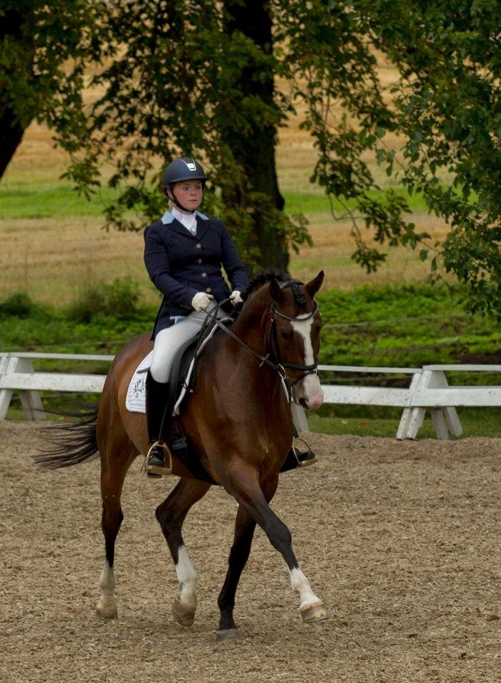 Trakehner High Skye *STJERNE* <3 R.I.P 25/03/2013 - du er alt jeg drømmer om <3 billede 11