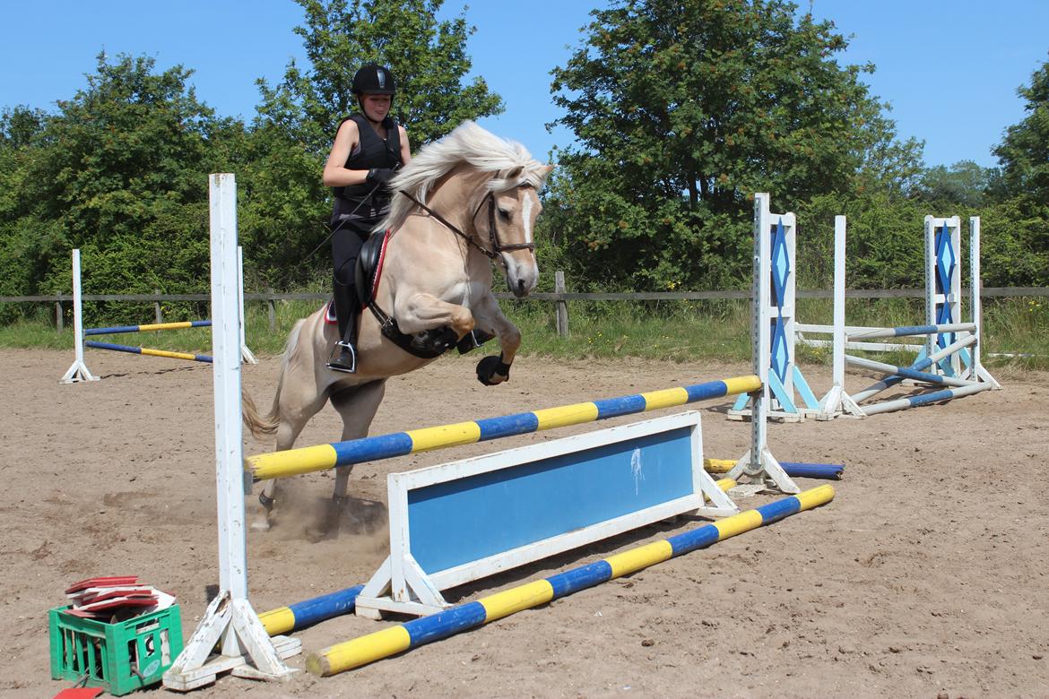 Anden særlig race Tinkerbell - A friend is someone who knows the song in your heart, and sings it back to you when you have forgotten the words. billede 5