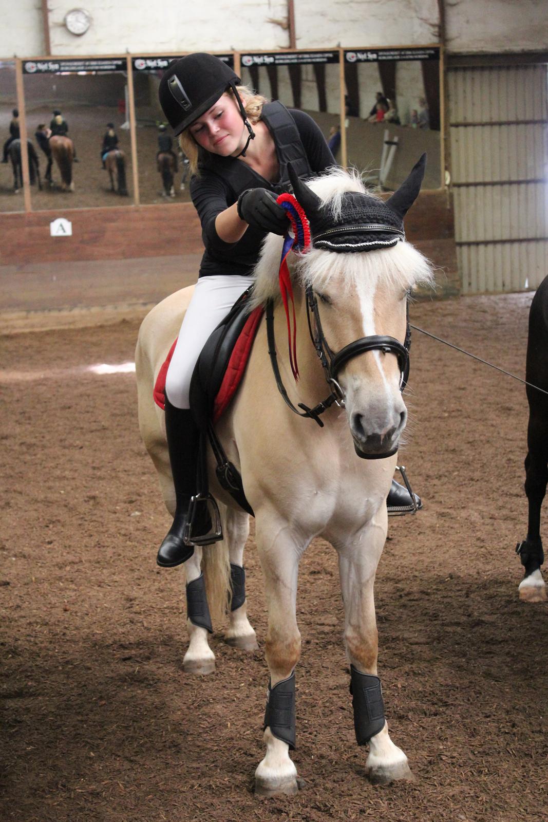 Anden særlig race Tinkerbell billede 14