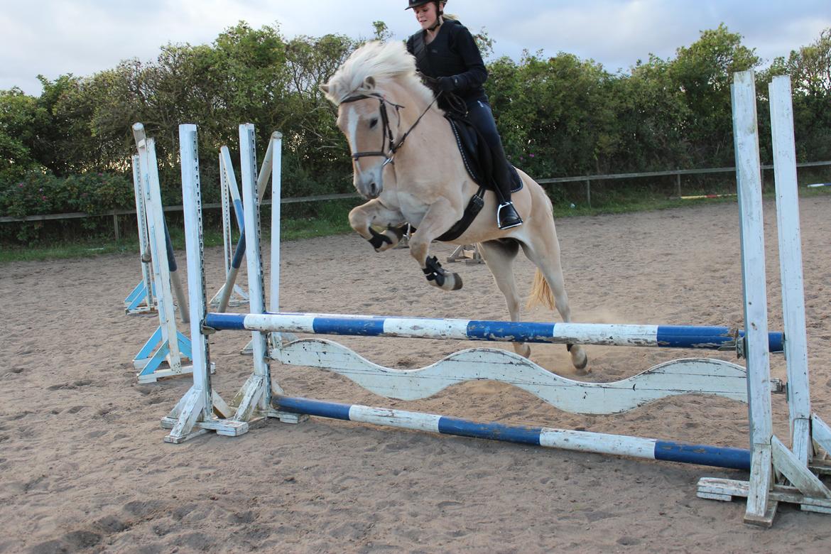 Anden særlig race Tinkerbell - Viljen til at ville giver evnen til at kunne! billede 16