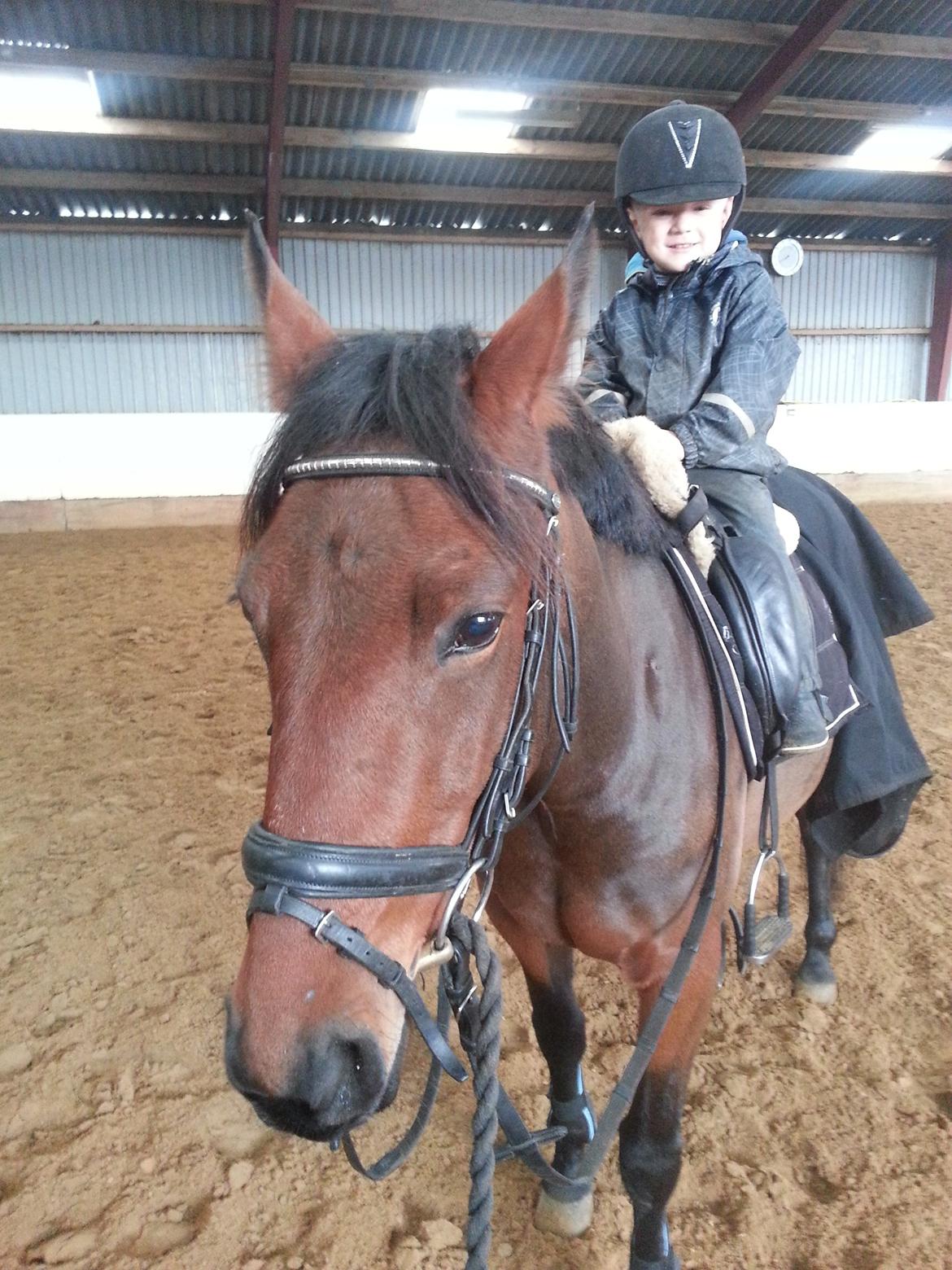 Anden særlig race Musse - Musse og Jimmi .... musse første gang med anden rytter, og jimmi's første gang på hest <3 billede 1