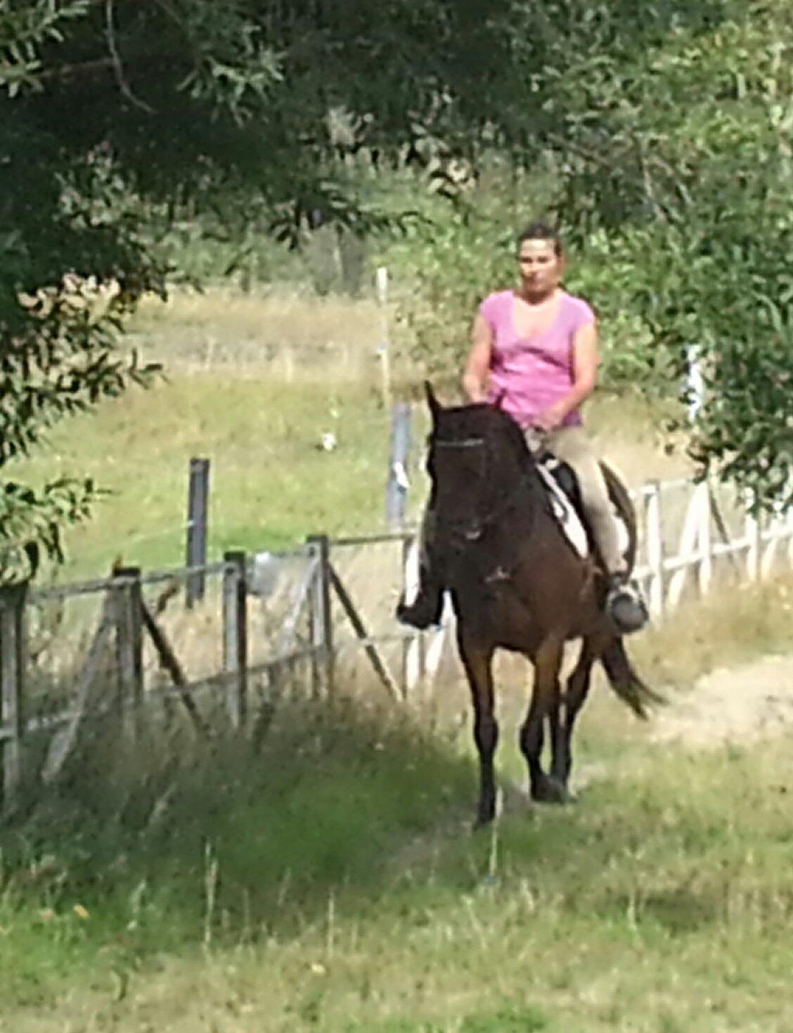 Anden særlig race Musse billede 3