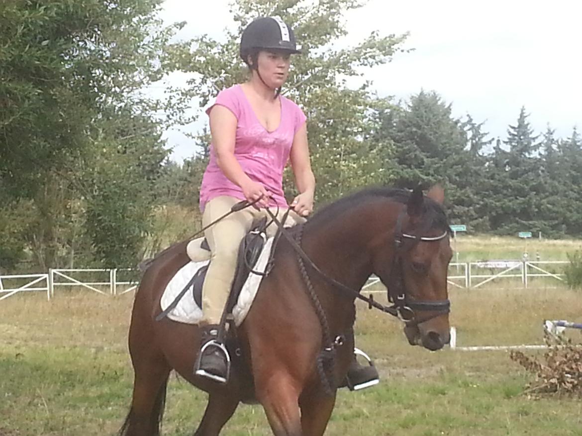 Anden særlig race Musse billede 5