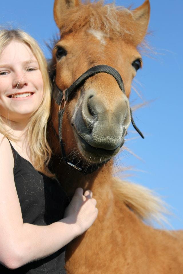 Islænder FENJA FRA ANNERUP - If I could give you one thing in life, I would give you the ability to see yourself through my eyes, only then you would realize how special you are to me - Sommeren 2011 Foto: Anne Sofie billede 13