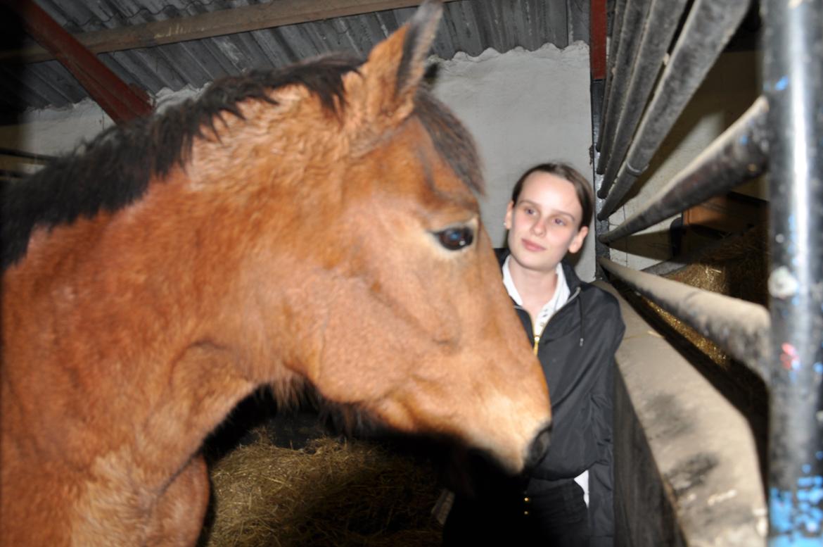 Anden særlig race Misty - Da jeg var oppe og besøge hende, og sige farvel :/ billede 5