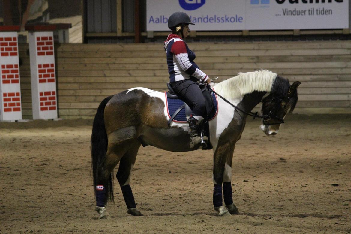 Anden særlig race Felix - Oktober 2012 billede 11