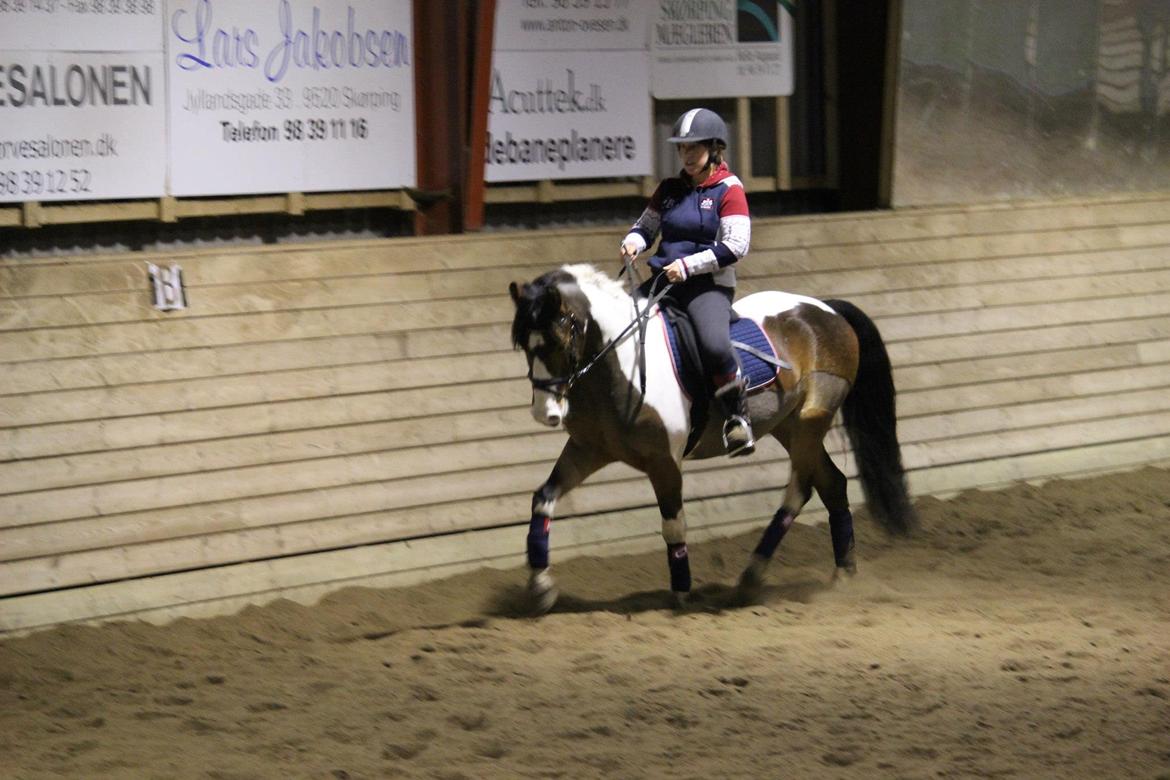 Anden særlig race Felix billede 13