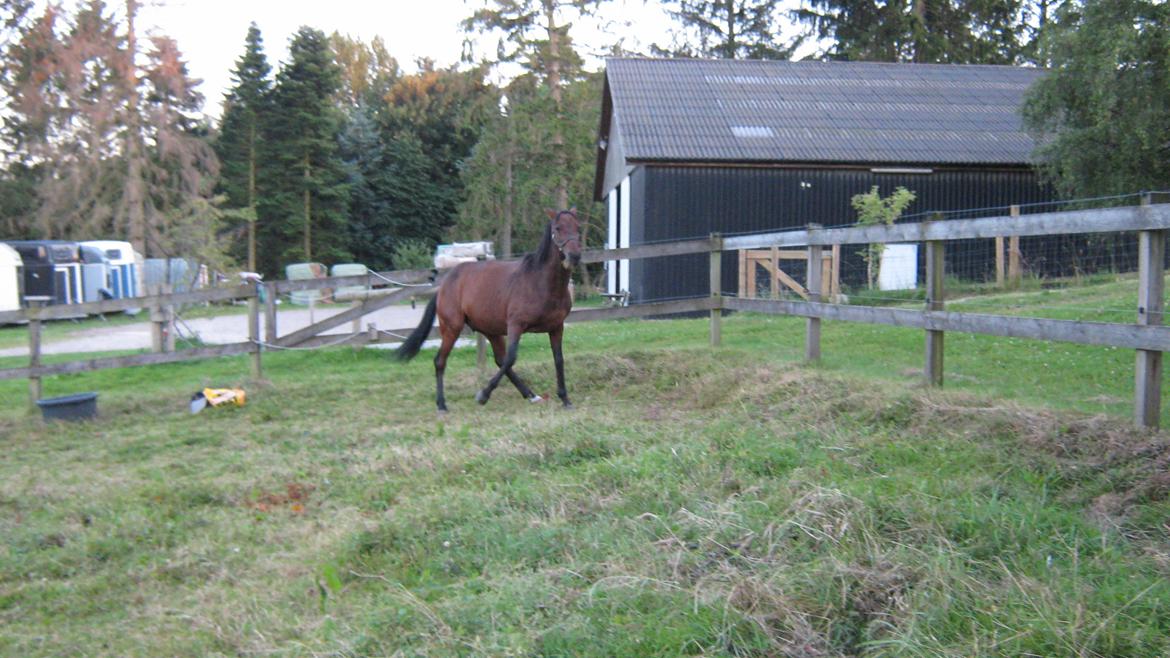 Traver Malachi - Hej hej hvor blev du af
Gøngehus Farmen 2012 
 billede 5