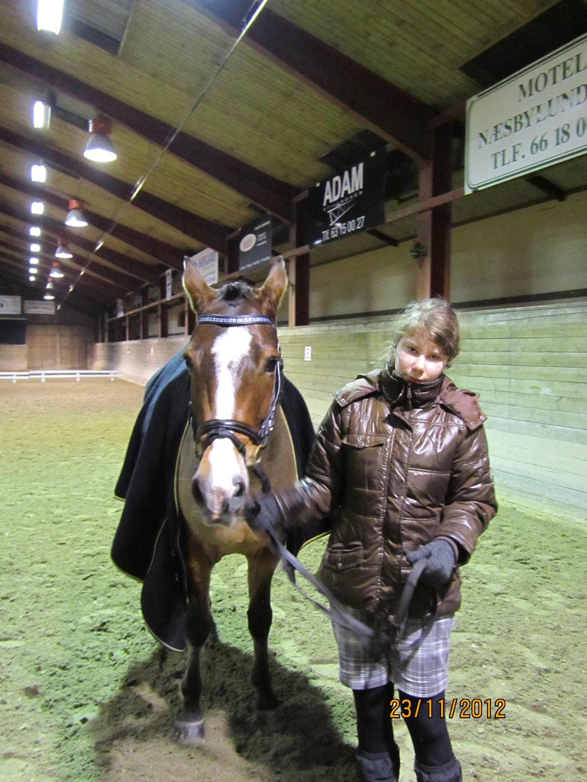 New Forest Egeballes Petroleum billede 14