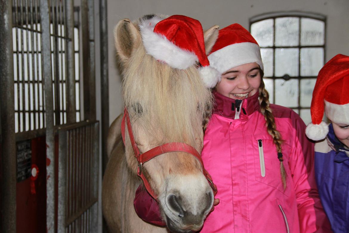 Fjordhest Højgaards Hella - Se min fine nissehue <3 billede 6