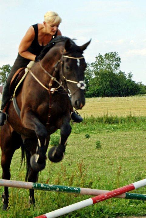 Oldenborg Safian's Sonnick R.I.P billede 8
