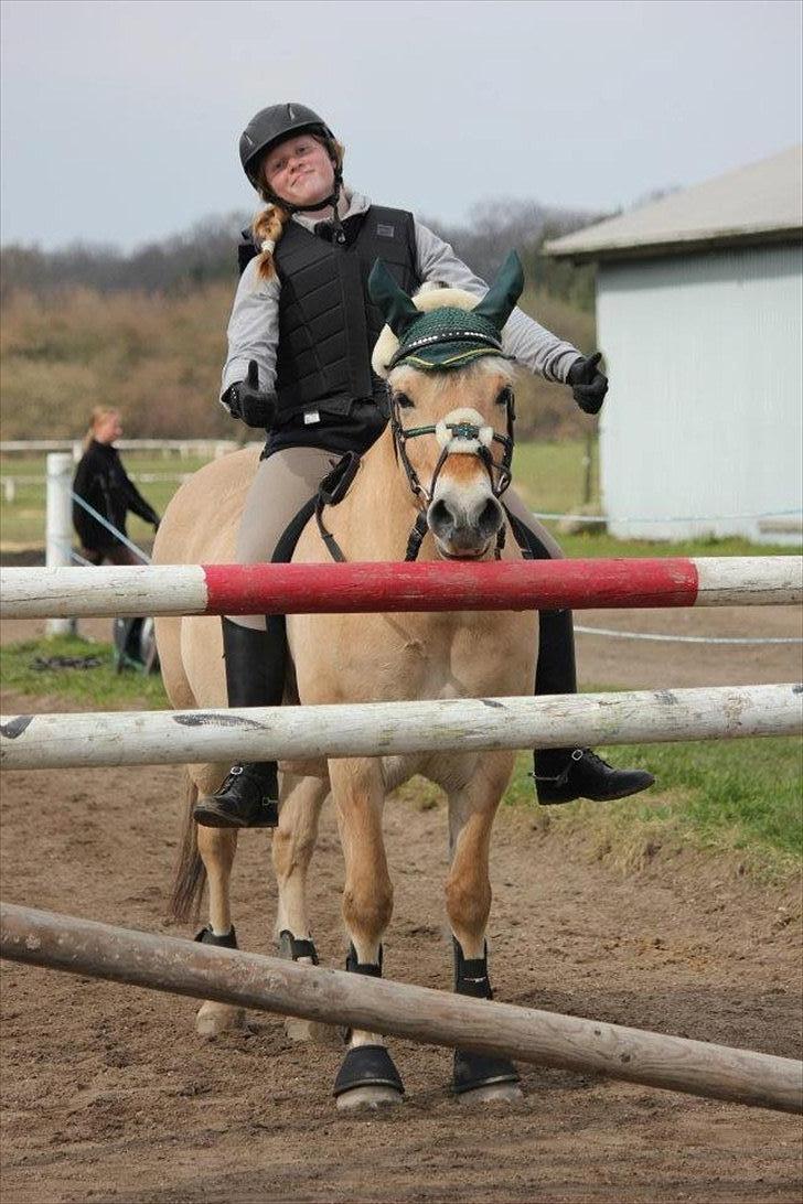 Fjordhest Victor *Forever In My Heart* - „Sometimes people are beautiful. Not in looks. Not in what they say. Just in what they are.“♥.  billede 8