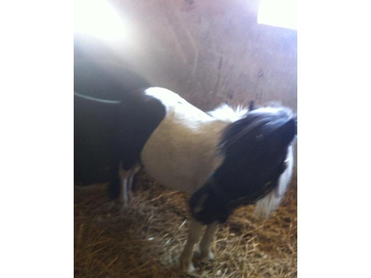 {{currentPhoto.altText}} billede {{currentPhoto.number}}