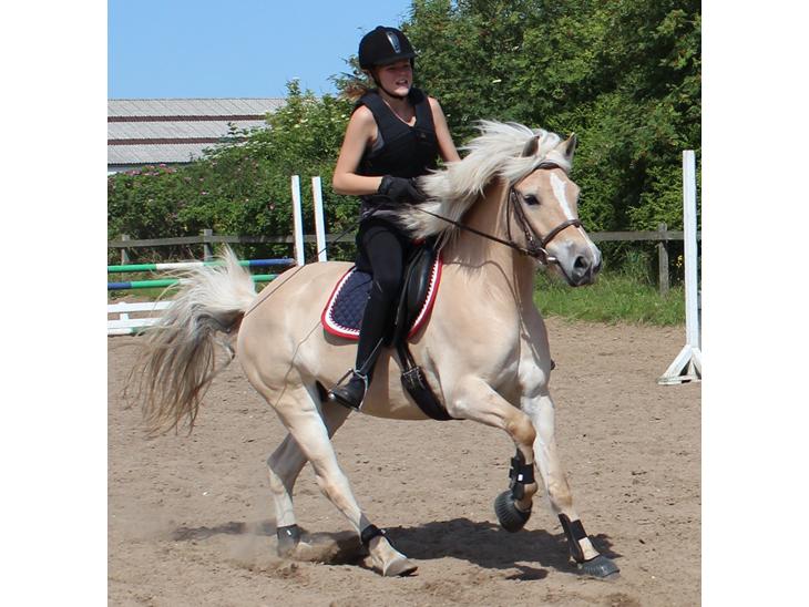 {{currentPhoto.altText}} billede {{currentPhoto.number}}