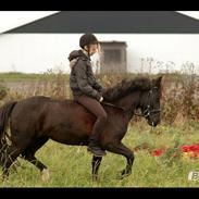 Anden særlig race Julle<3 VARK!