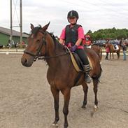 Anden særlig race Carde dór R.I.P.