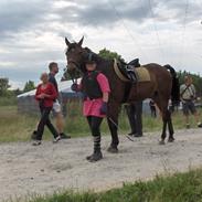 Anden særlig race Carde dór R.I.P.