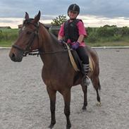 Anden særlig race Carde dór R.I.P.