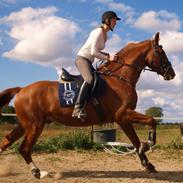 Frederiksborg Conrad