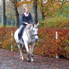 Anden særlig race Marquia