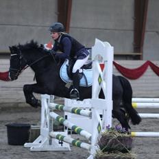 Welsh Pony af Cob-type (sec C) Little luke (The best<3)