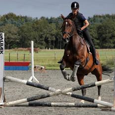 Holstener Monokrat Essenbæk - Monty