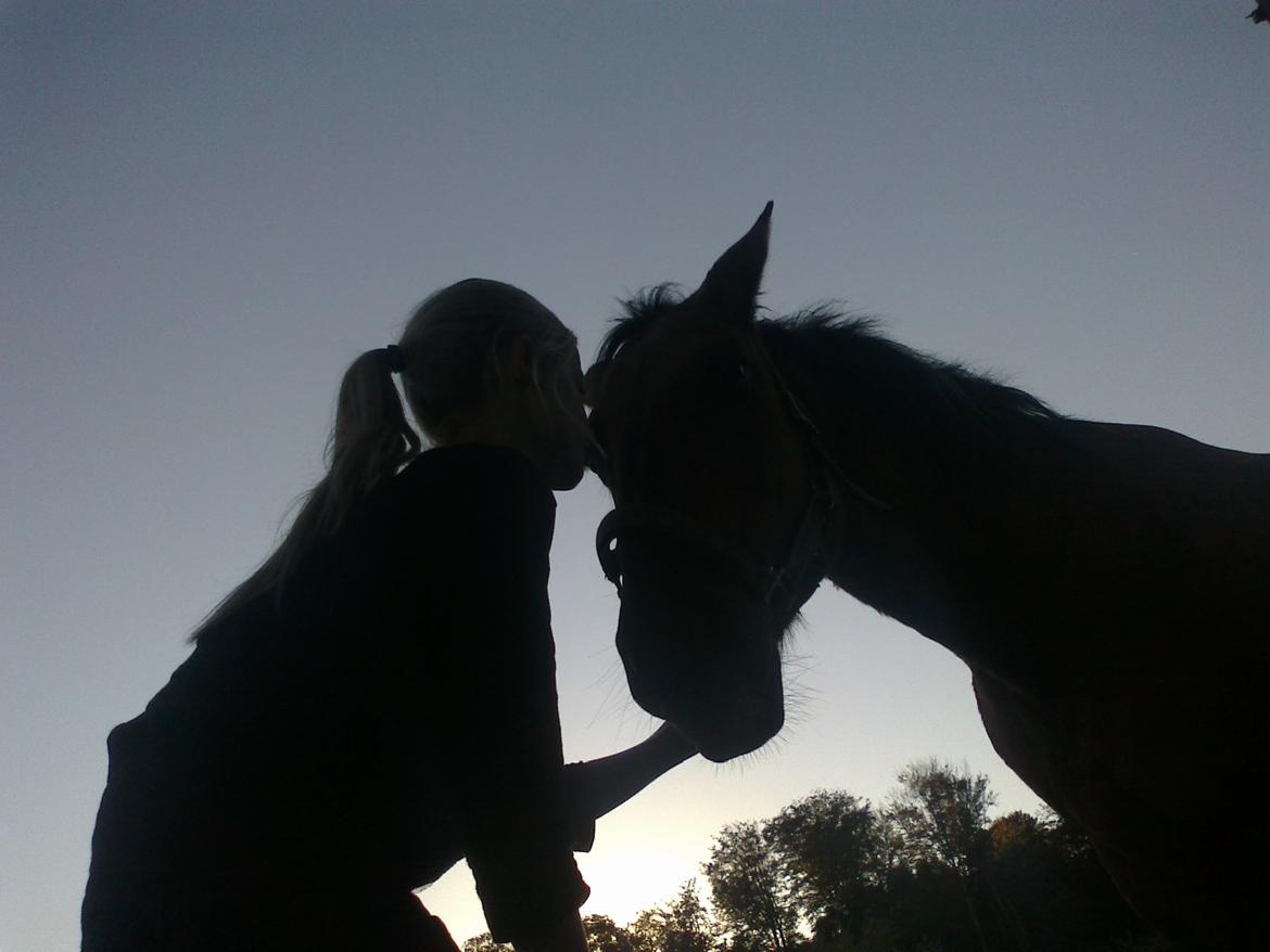 Anden særlig race Sweedy<3 billede 8