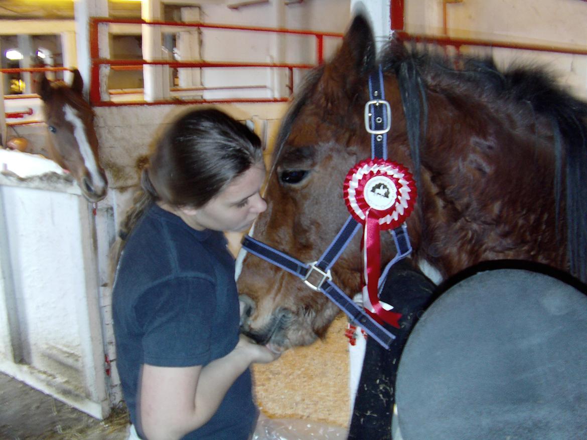 Anden særlig race Benjamin  <3 (savnet :'( <3 ) - Den 11-11-2012. en dag jeg aldrig vil glemme. :-* 
JEG ELSKER DIG!! <3 billede 19