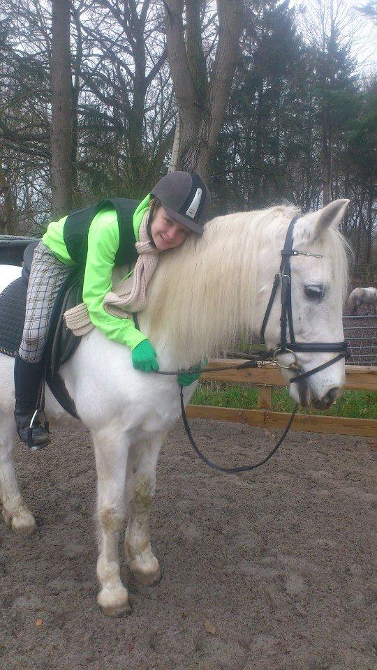 Connemara Flash Point - søde Flash, elsker dig <3 foto:Anna billede 2