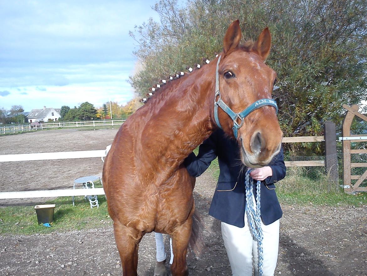 Frederiksborg Trymer - Tredje "trænings" stævne <3 :) billede 11