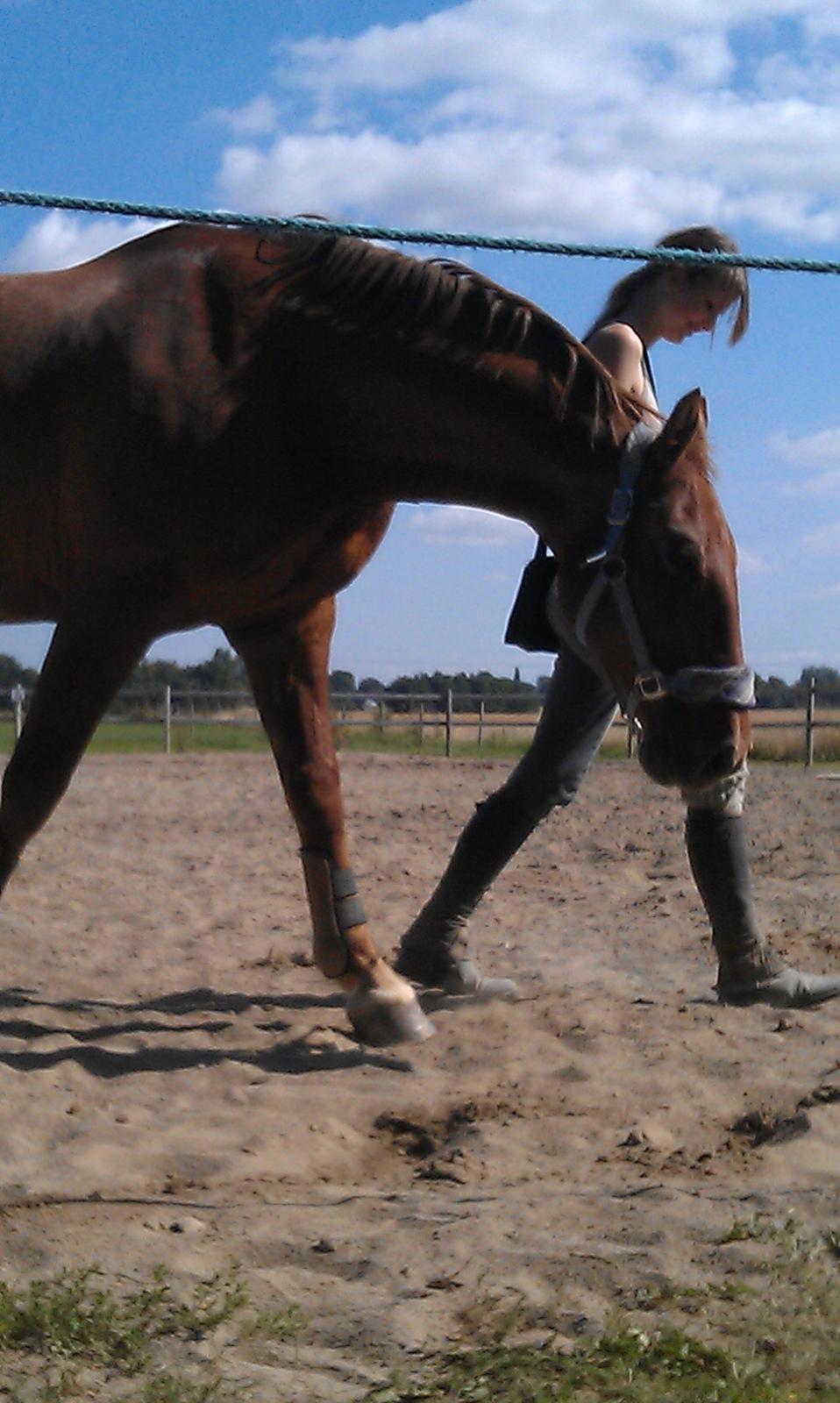 Frederiksborg Trymer - Afslapnings øvelse <3 billede 8