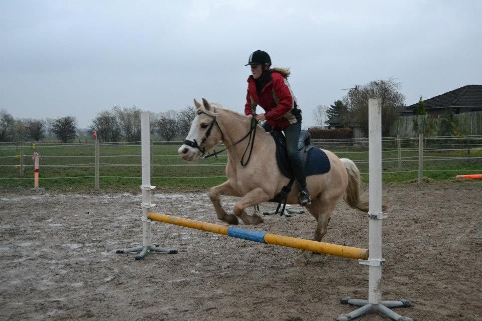 DSP Tovdal's Ivory Princess <3 - spring <3 billede 9