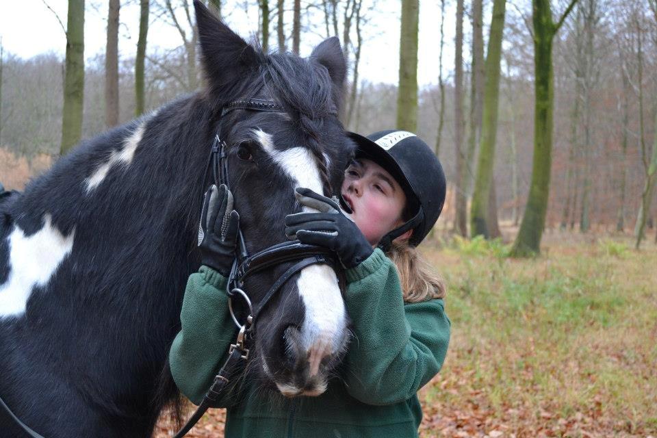 Irish Cob Pam:-* - Tur i skoven med Mathilde og Pasqaul:-) Den bedste tur i lang tid!<3 billede 10