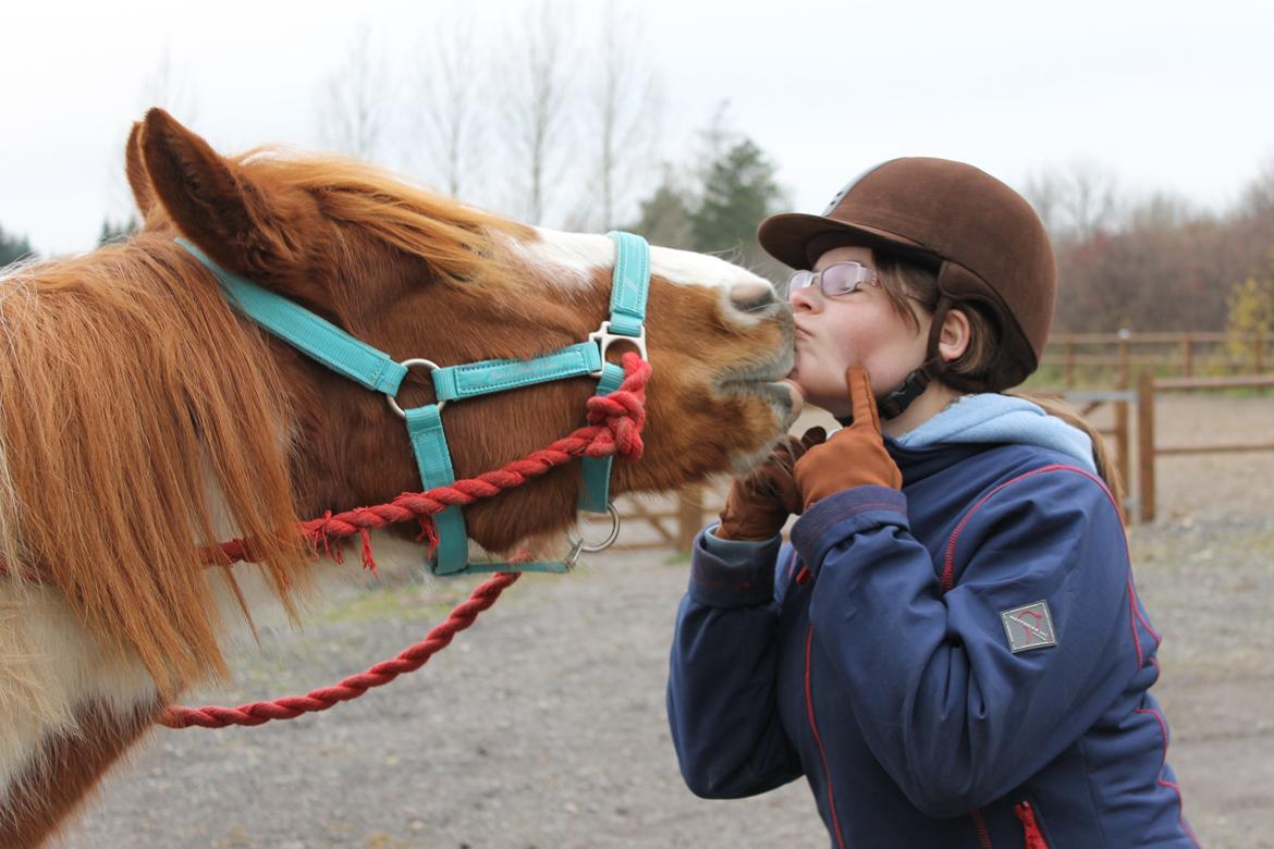 Anden særlig race Dixie - Dixie kysser på kommando<3 (Foto: Emmely) billede 15