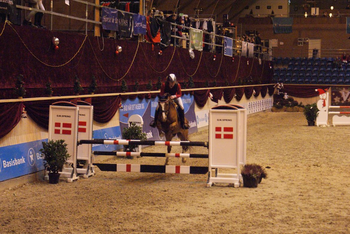 Tysk Sportspony Denver tidl. hest - Et af de aller sidste stævner... Christmas Show 2012 <3  billede 19