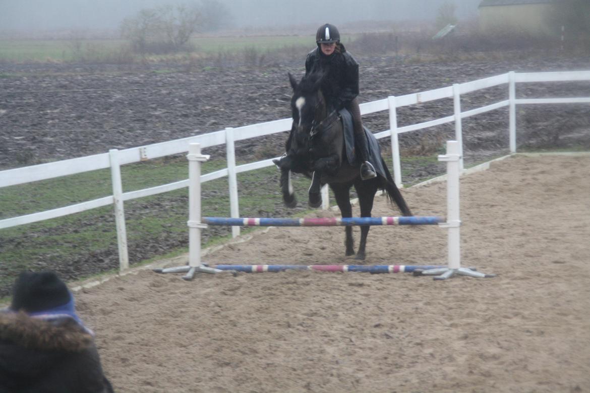 Svensk Sportspony  Blackie Brown :) - vi flyver over det <33 elsker dig min prins foto (far) billede 9