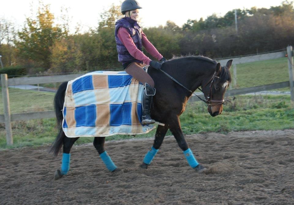 Anden særlig race Bakkegårdens Playboy - Jep, i ser rigtigt! uden sadel og med en pony i holdning! Fantastisk 3 årsdag!! *foto Christine eller Charlotte* [28 oktober 2012] billede 8