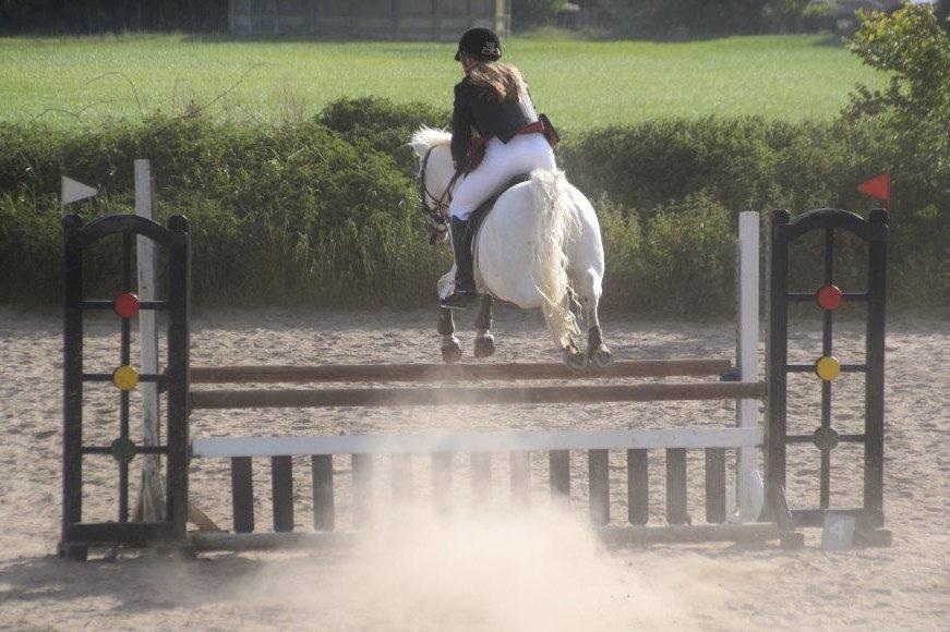 Connemara Vimmelgårdens Coco <3 - LA2** i Brydumdam, 2 plads! billede 17